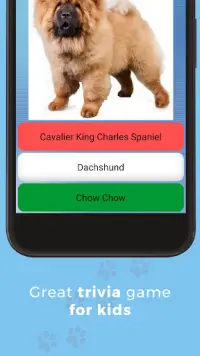 Dog Quiz:Trivia Questions–Guess the dog breed quiz Screen Shot 3