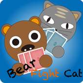 Bear Fight Cat