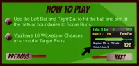 Cricket Twenty20 : Pinball Challenge Screen Shot 2