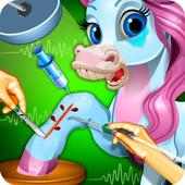 Pony Leg Surgery Doctor