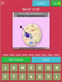 Anatomy Online Quiz: Cell and Organelles Screen Shot 8