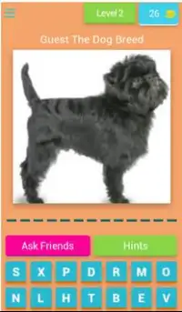 Guess The Dog Breed Screen Shot 2