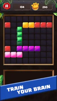 Block Puzzle Bricks Screen Shot 2