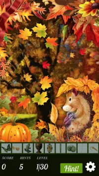 Hidden Object Worlds - Fall Festival Screen Shot 0