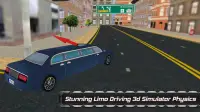 Limousine Driving Sim Screen Shot 5