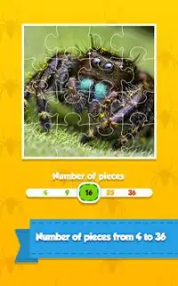 Insect Life Jigsaw Puzzle Game Screen Shot 1