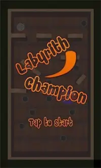 Labyrinth Champion Screen Shot 12