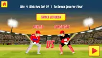 Pro Cricket Tournament Screen Shot 1