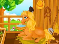 Pony Gives Birth Baby Games Screen Shot 1