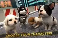 🐕 Puppy Dog in the City Screen Shot 2