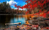 Nature Jigsaw Puzzles Screen Shot 0