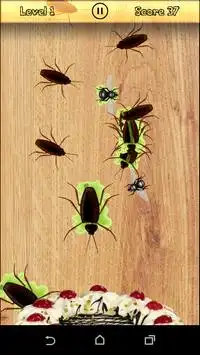 Fly Beetle Smasher, free game Screen Shot 2