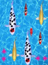 Koi Fishing Game Screen Shot 3