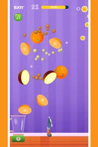 Fruit Shooter - Fruit Cutting Game Screen Shot 4