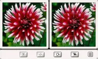 Guess the Flower: Tile Puzzles Screen Shot 5