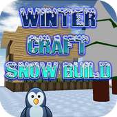 Winter craft snow build