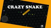 Crazy Snake - Slither Game Screen Shot 5