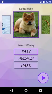 Dogs Sliding Puzzle Screen Shot 1