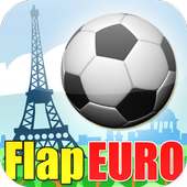Flap Euro 2016 Ball
