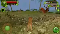 Lion Survival in Safari Sim Screen Shot 4
