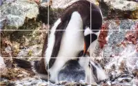 Tile Puzzle - Penguins Screen Shot 3