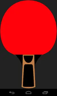Ping Pong Paddles Screen Shot 0