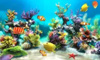 Sim Aquarium Live Wallpaper Screen Shot 1