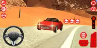 S2000 Simulator Car Games Screen Shot 3