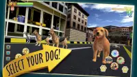 Zoro Pet Run – Multiplayer Dog Rush Racing Games Screen Shot 1