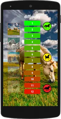 Horses memory game - beautiful photos of horses Screen Shot 2