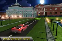 Real Car Parking Night Driving 3D Screen Shot 3
