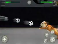 Dog Kung fu Training Simulator: Karate Dog Fighter Screen Shot 4