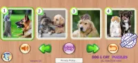 Dog & Cat Puzzle - Rompecabezas-Puppy kitty Doggy Screen Shot 0