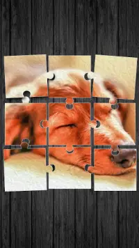 Cute Dogs Jigsaw Puzzle Screen Shot 0