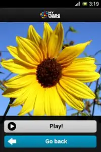 Flowers Puzzle – MPW Screen Shot 2