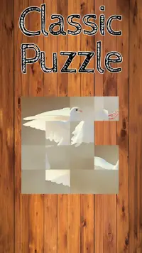 Classic Puzzle Screen Shot 3