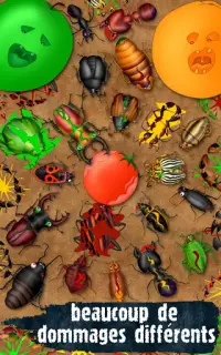 Hexapod jeux insecte coléoptères fourmis punaises Screen Shot 8