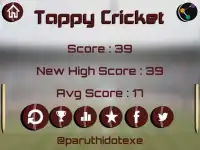 Tap Cricket ball Lite Screen Shot 5