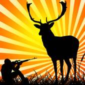 Deer Hunting