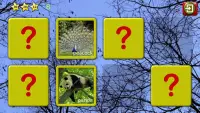 Kids animal puzzle and memory Screen Shot 4
