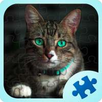 Cute Cats Jigsaw Puzzles Games