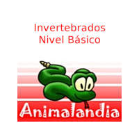 Animalandia Invertebrados 1