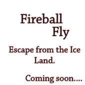 Fireball Fly