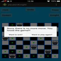 Chess Queen and Knight Problem Screen Shot 2