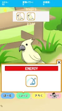 birdwatch ~healing-game~ Screen Shot 3