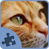 Cat and Kitten Jigsaw Puzzles