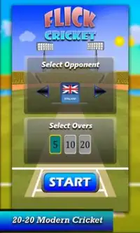 Flick Cricket Screen Shot 1