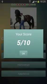 Horse Challenge Screen Shot 2