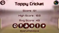Tap Cricket ball Lite Screen Shot 2
