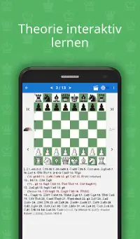 Bobby Fischer: Schach Champion Screen Shot 3
